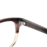 COA3001 5 barrel hinge