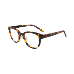 COA3001 Tortoise