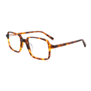 COA3002 tortoise