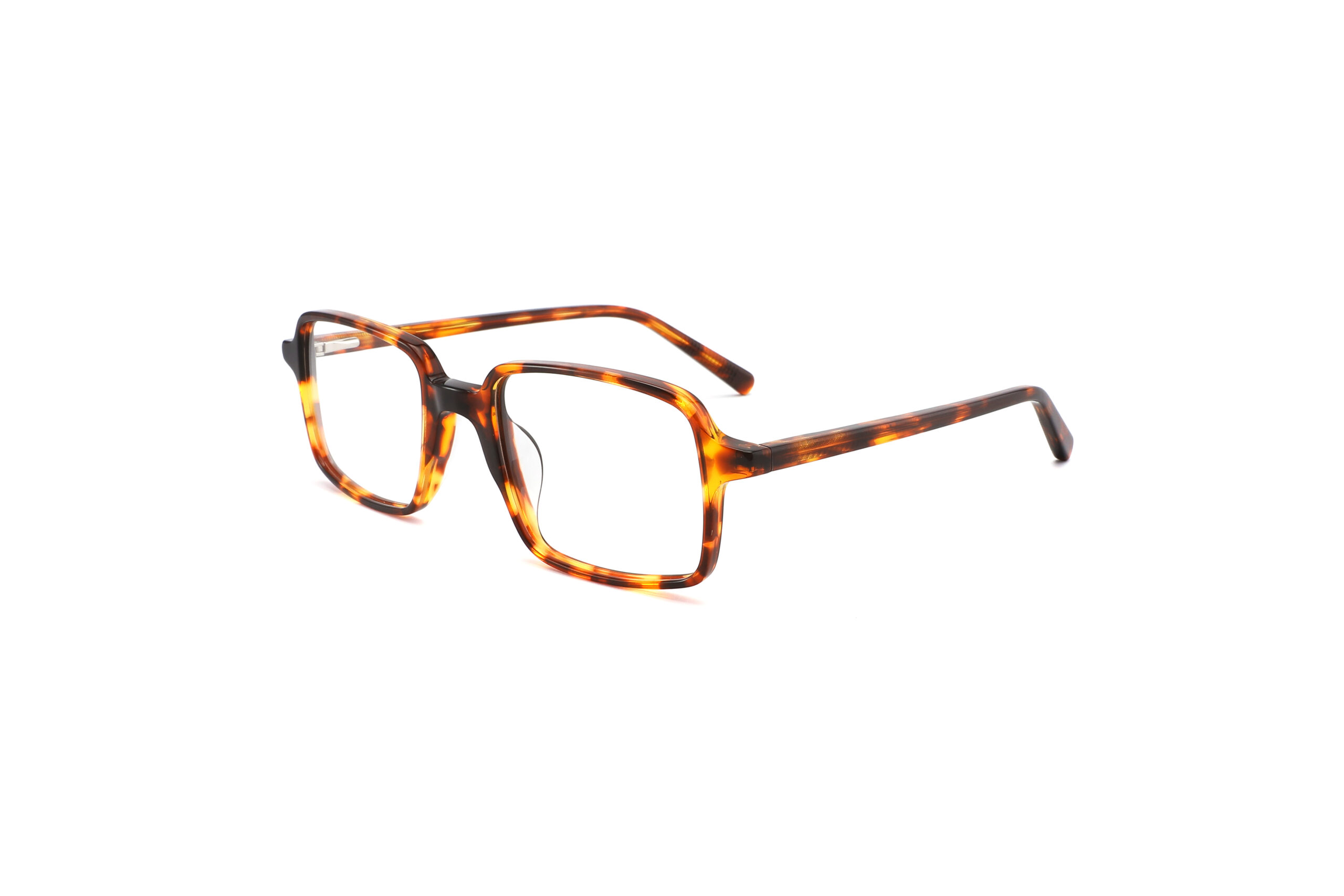 COA3002 tortoise