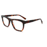 COA3031 tortoise