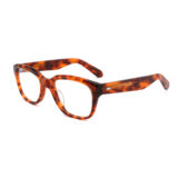 COA3013 tortoise