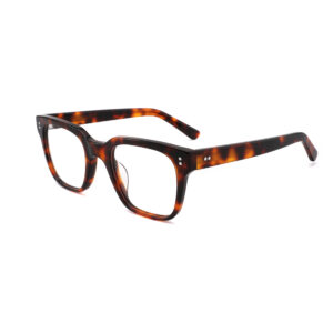 COA3009 tortoise