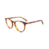 COA3003 tortoise