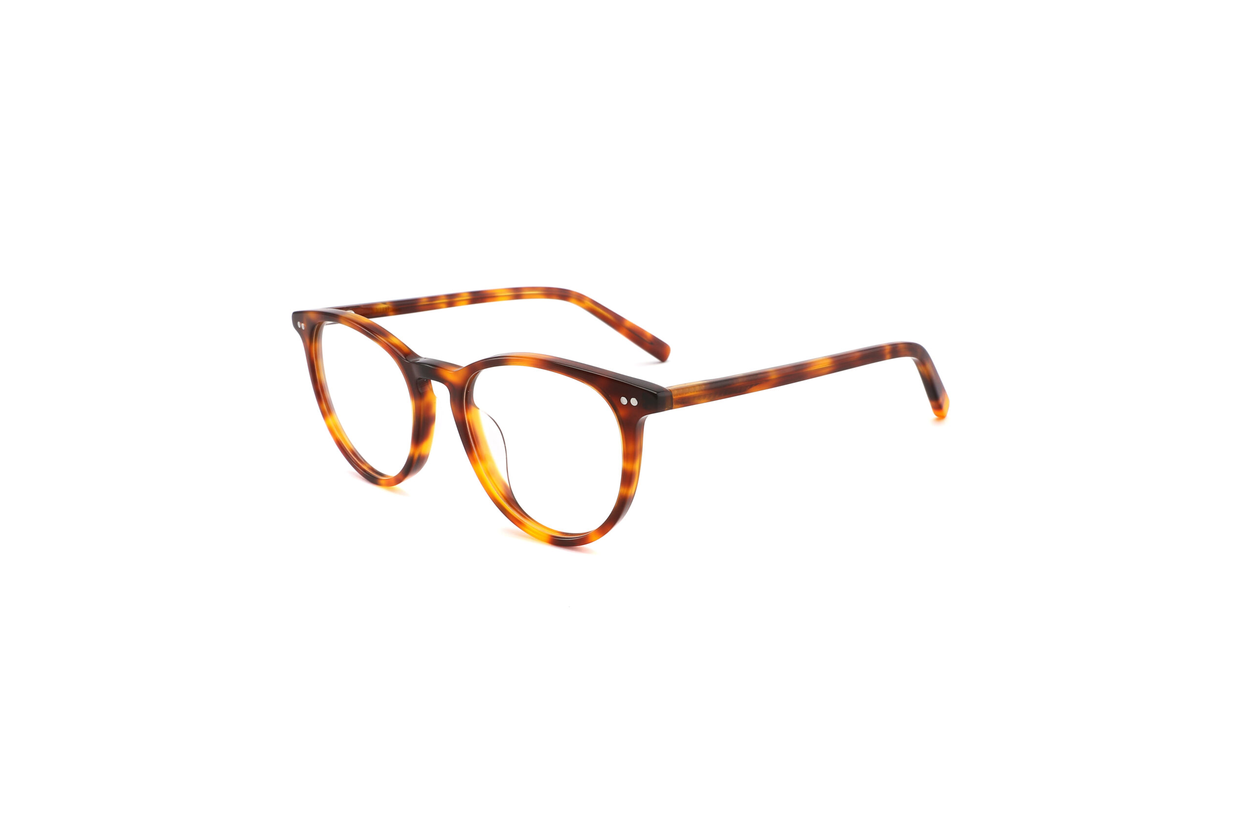 COA3003 tortoise