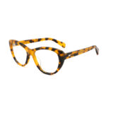 COA3012 tortoise