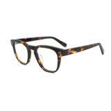COA3010 tortoise