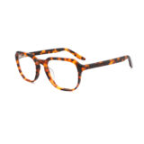 COA3005 tortoise