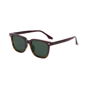 CL8615 tortoise